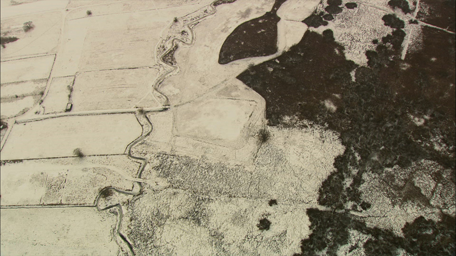 Burkhard Philipp von Harder | PART I: NARBE BERLIN | SCAR BERLIN